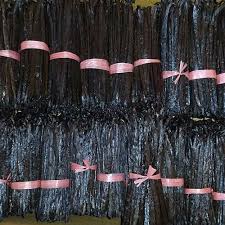 Vanilla Beans Planifolia